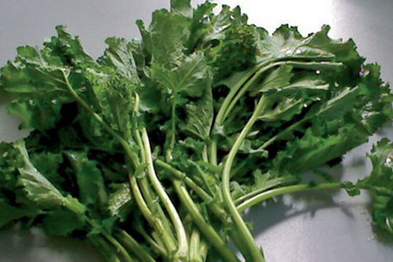 broccolo-vallo-diano